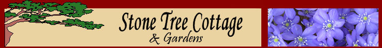 Stone Tree Cottage Logo